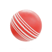 Cricket Icon